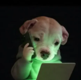 The Caller puppy